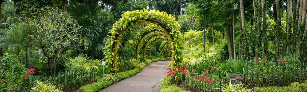 Die schönsten botanischen Gärten Deutschlands KleePura