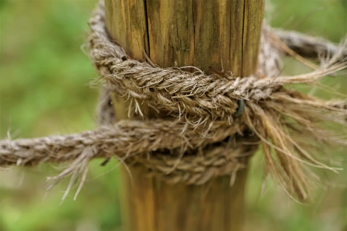 rope-5170920_1280 Naturfaserstrick um Pflock gewickelt