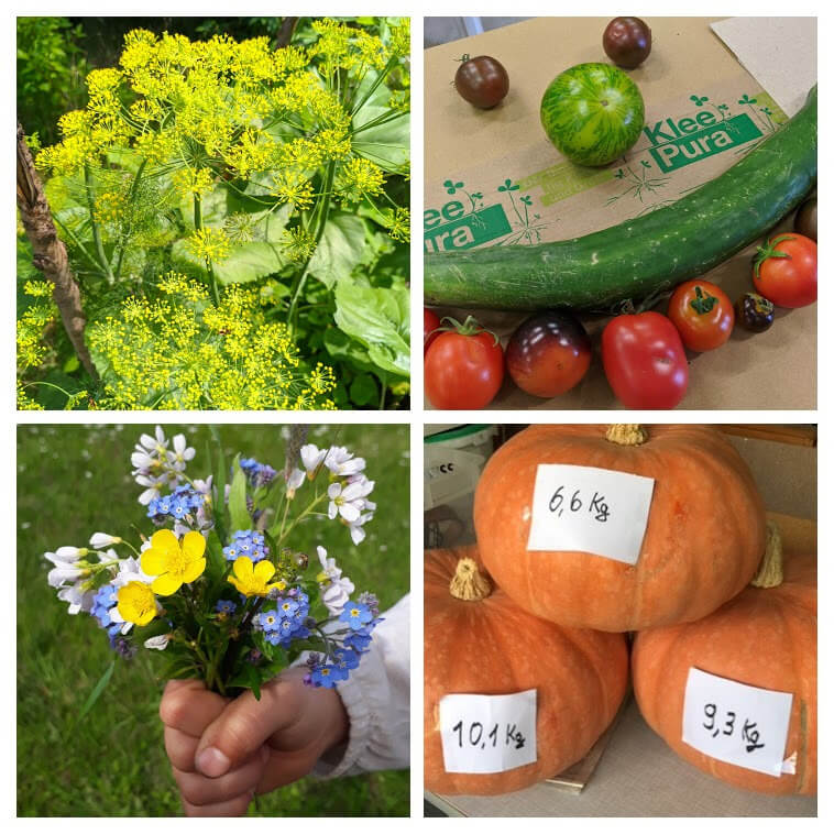 KleePura Gartenfoto 2022