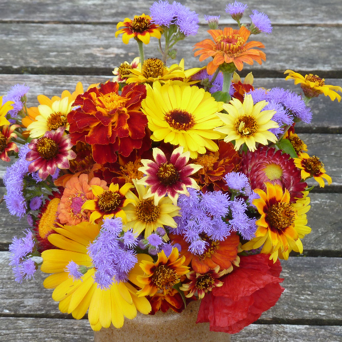 Bio Saatgut – Mischung “Blumen”