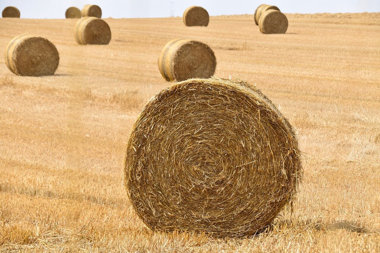 Strohballen