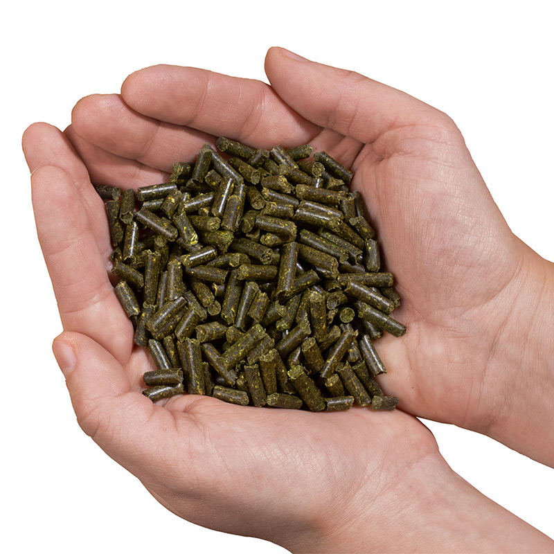 Kleepura Pellets in der Hand