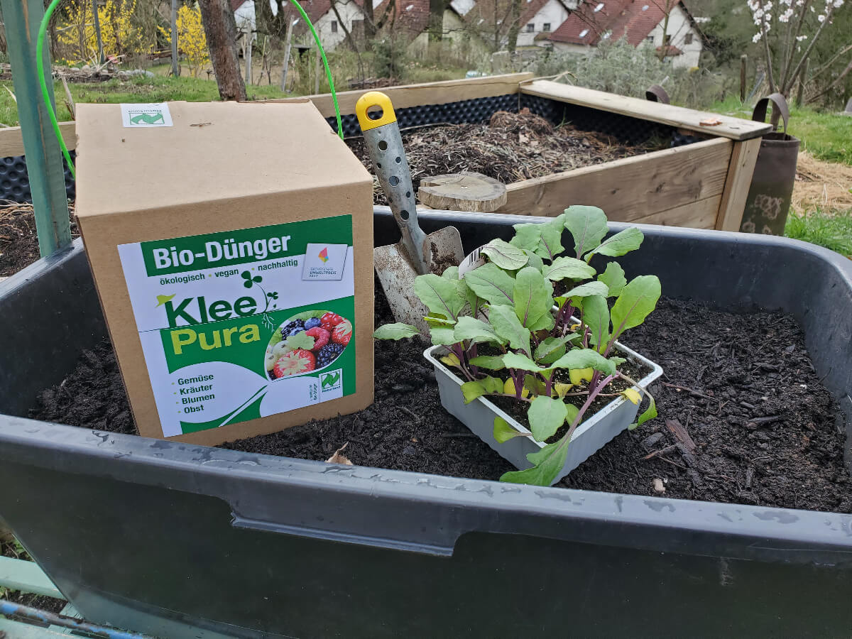 Frühling im KleePura Garten