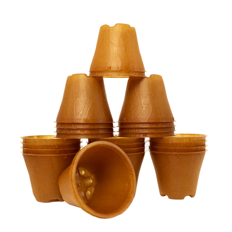 Produktbild 6 cm 24er (1)