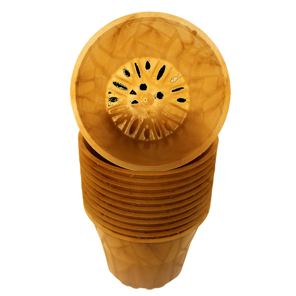 Produktbild 12er hell 12 Stück (1)