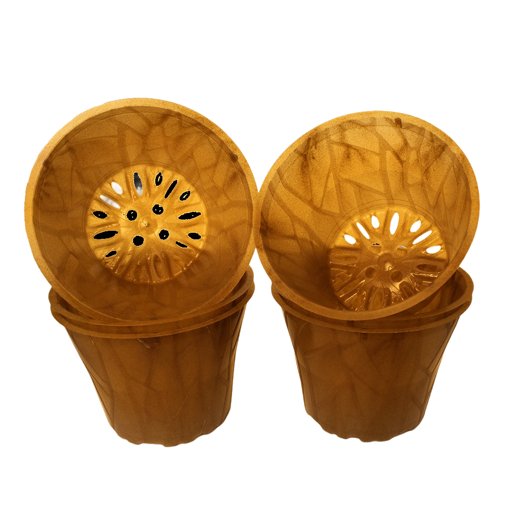 Produktbild 12er hell 6 Stück (1)