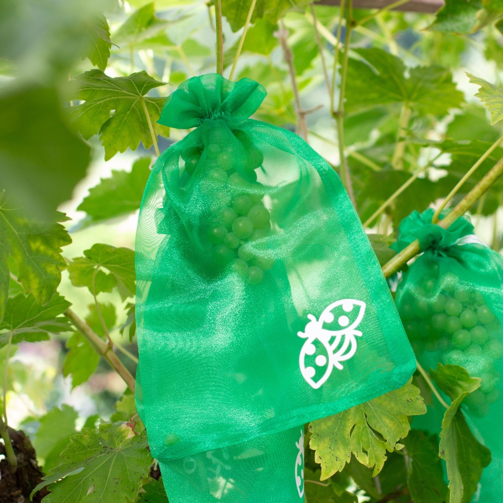 Traubenschutztaschen (1)
