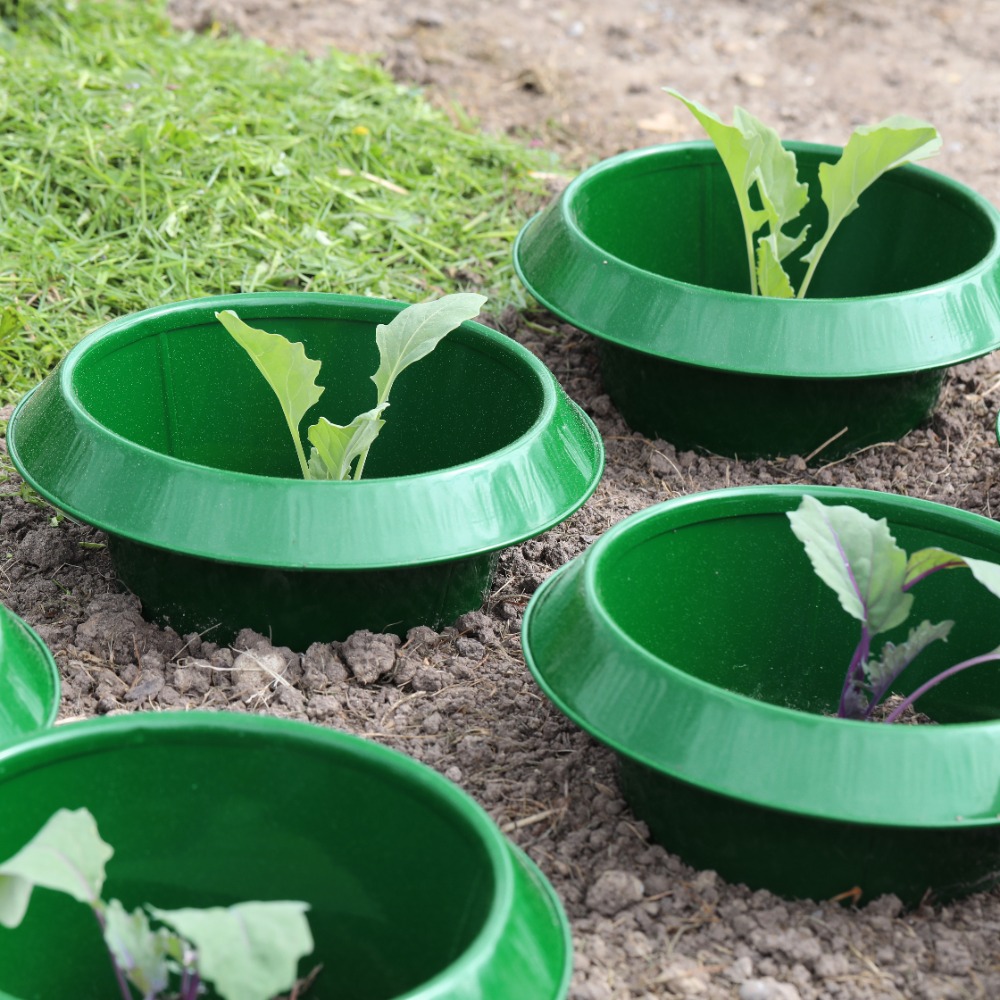 Schneckenkragen grün (1)