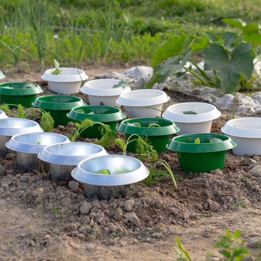 Schneckenkragen im Einsatz (1)