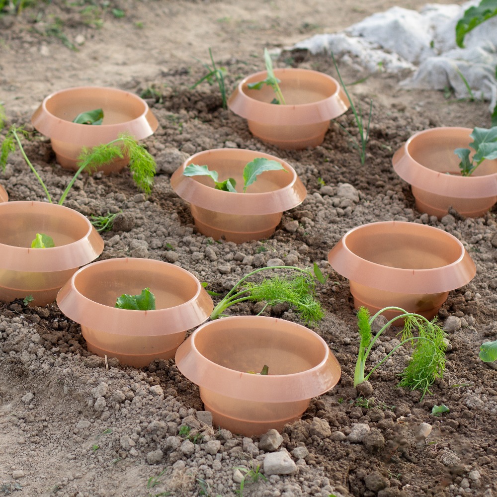 Schneckenkragen braun (1)