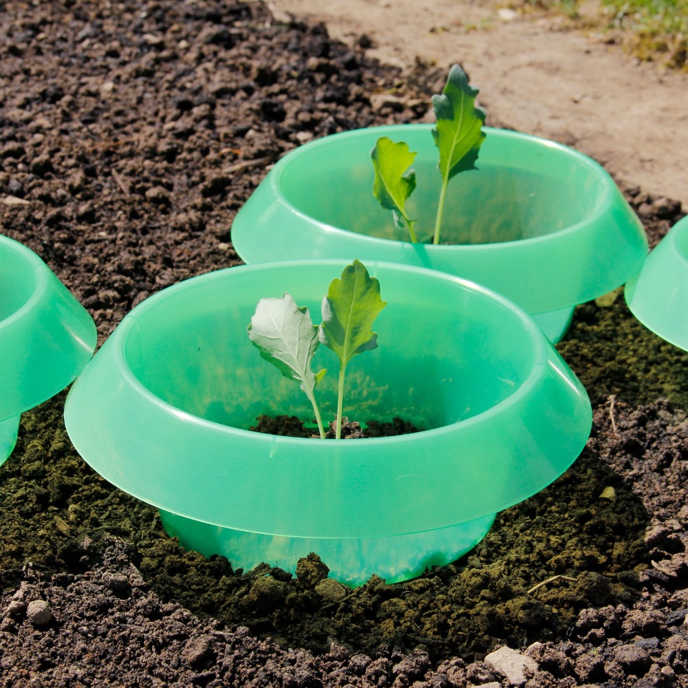 Schneckenkragen recycelt Plastik grün (1)