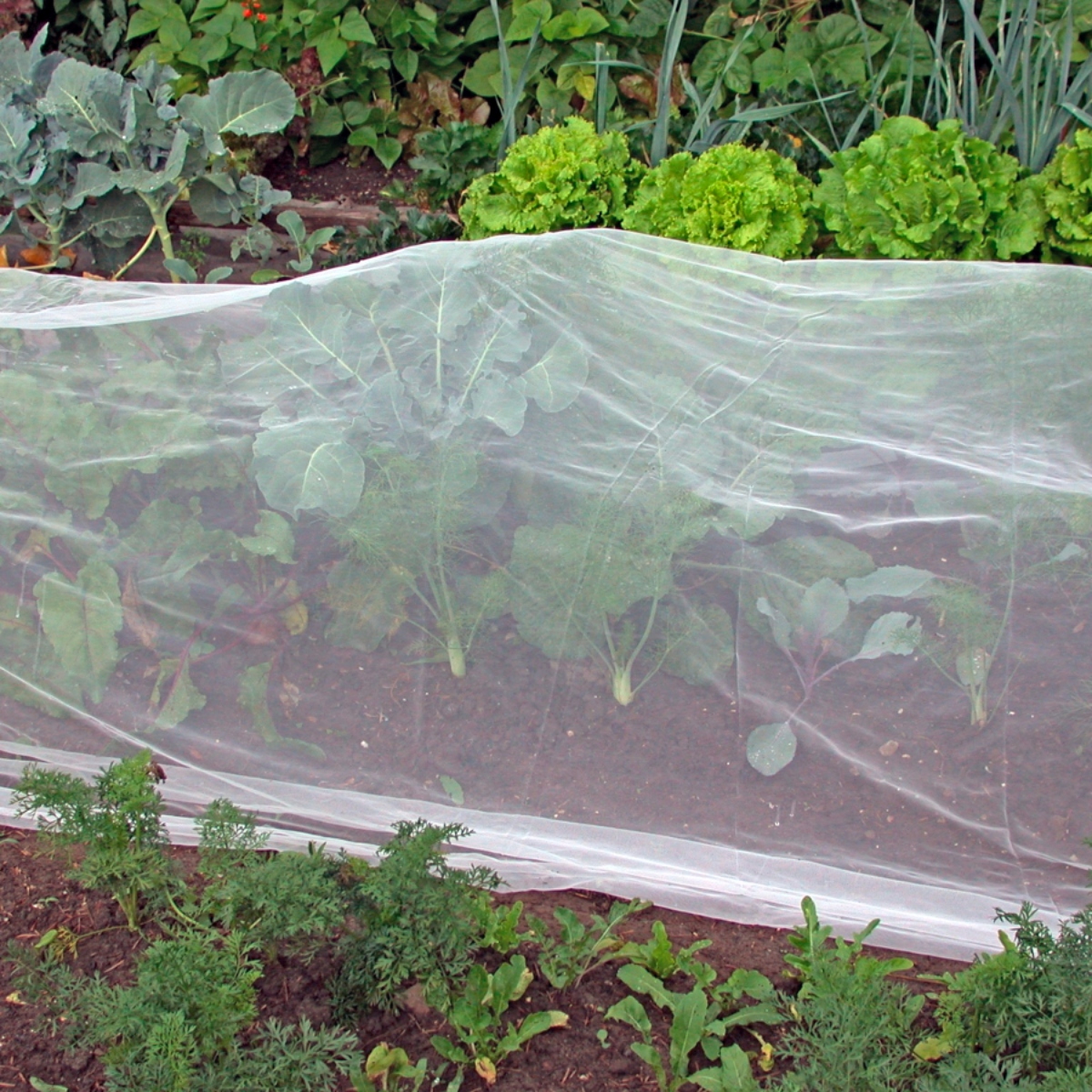 Kulturschutznetz PA 5x2,2m (1)