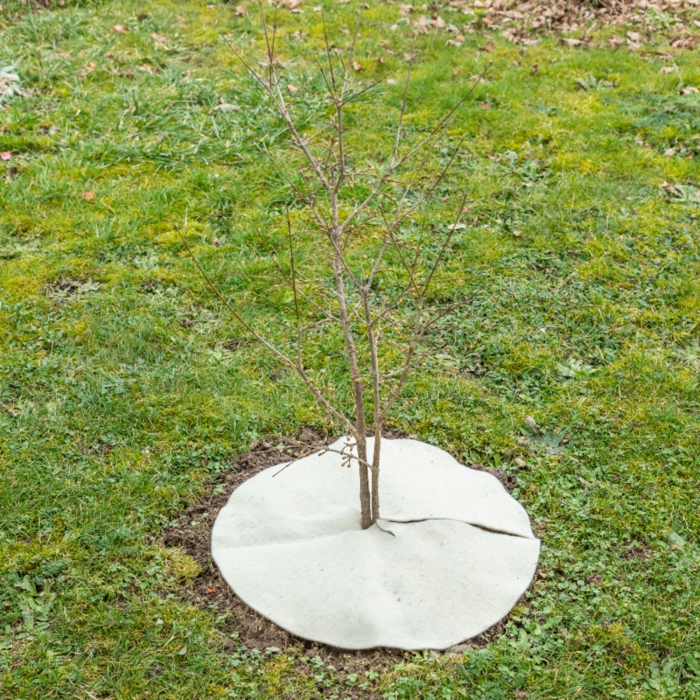 Mulchscheibe im Garteneinsatz (1)