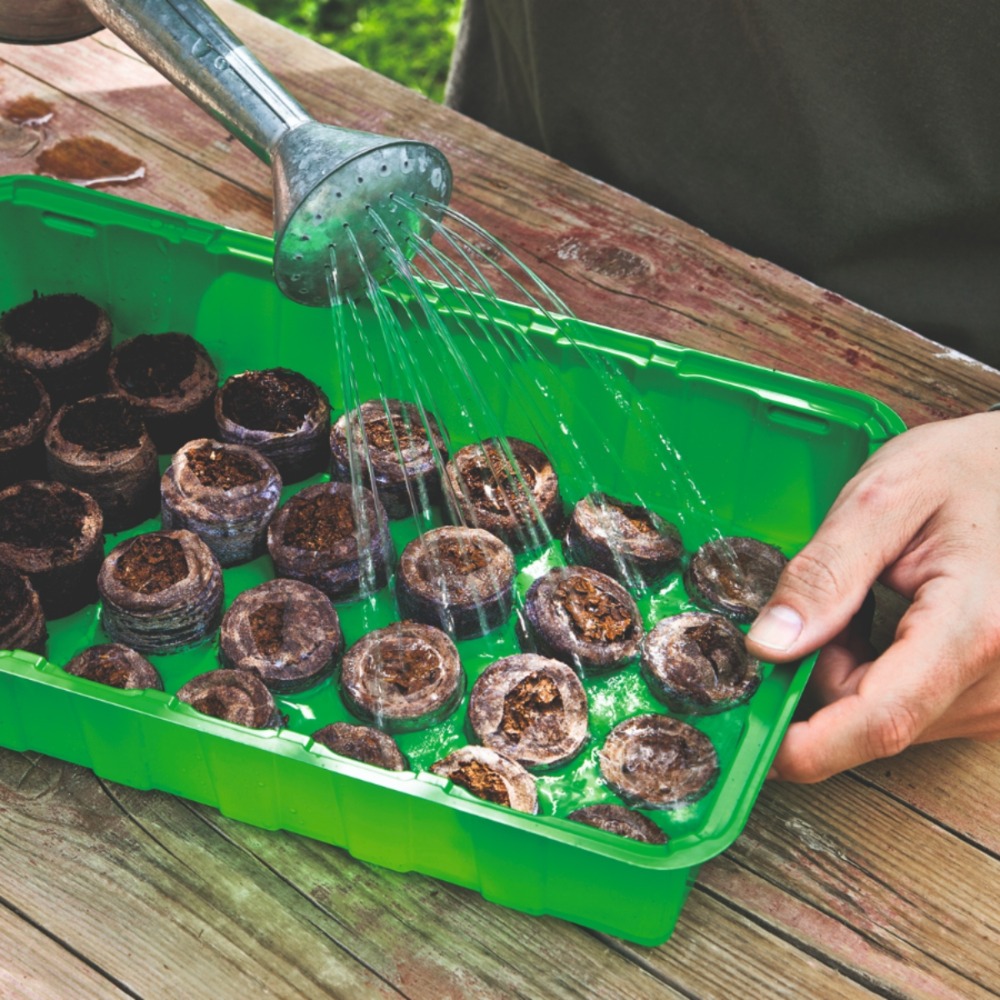 Anwendung Kokos 50er 1 (1)