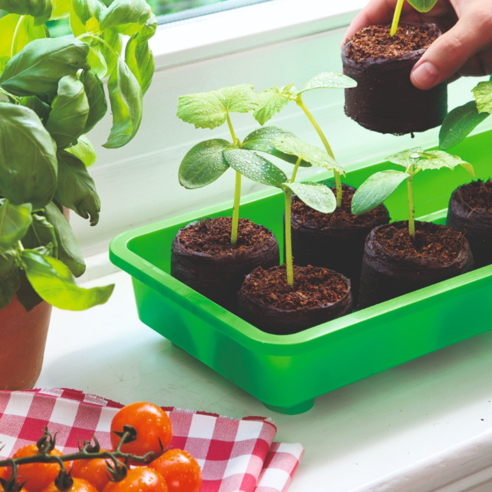 Anwendung kokos 70 (1)