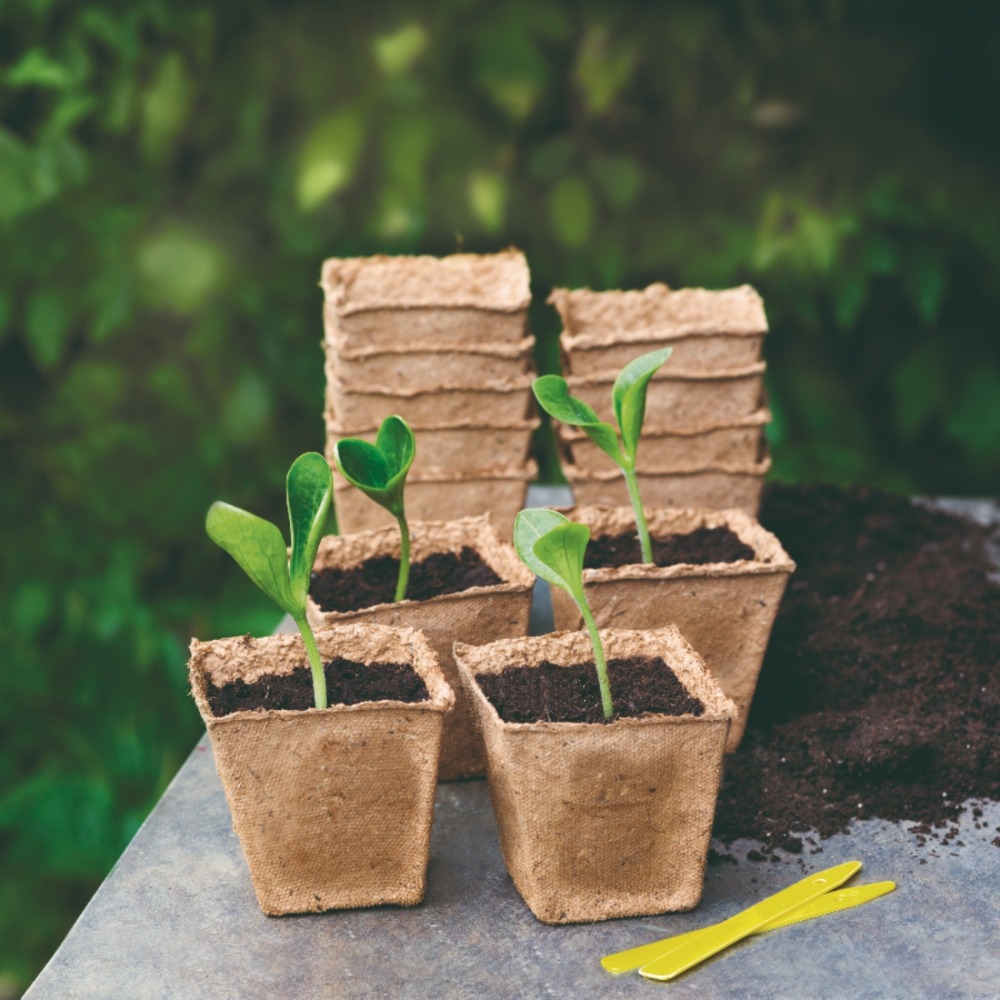 Anzuchttöpfe groß in Anwendung (1)
