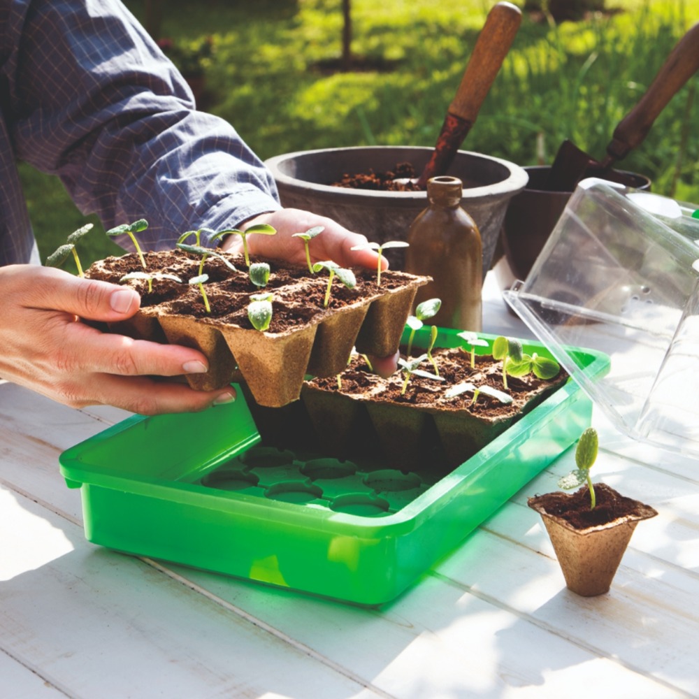 Anzuchttöpfe 144 Anwendung (1)