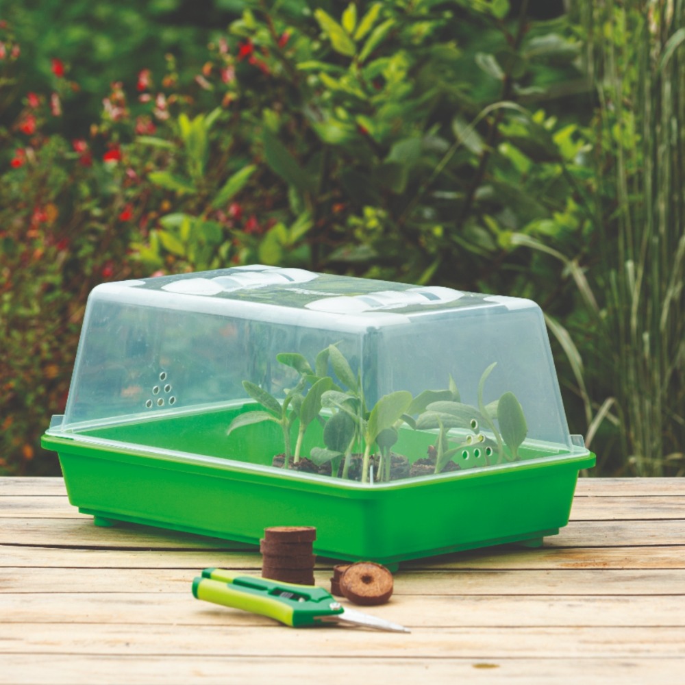 Anzucht kokos klein Gewächshaus M (1)