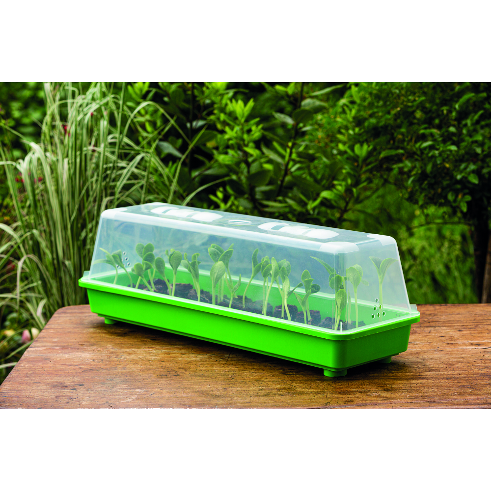 Gewächshaus L im Garten (1)