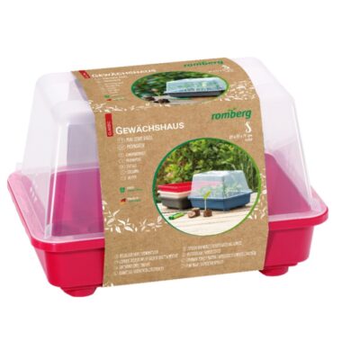 Gewächshaus S beere (1)