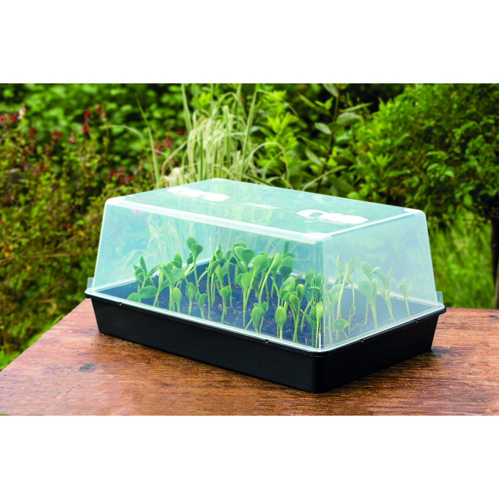 Gewächshaus XXL mit Pflanzen (1)