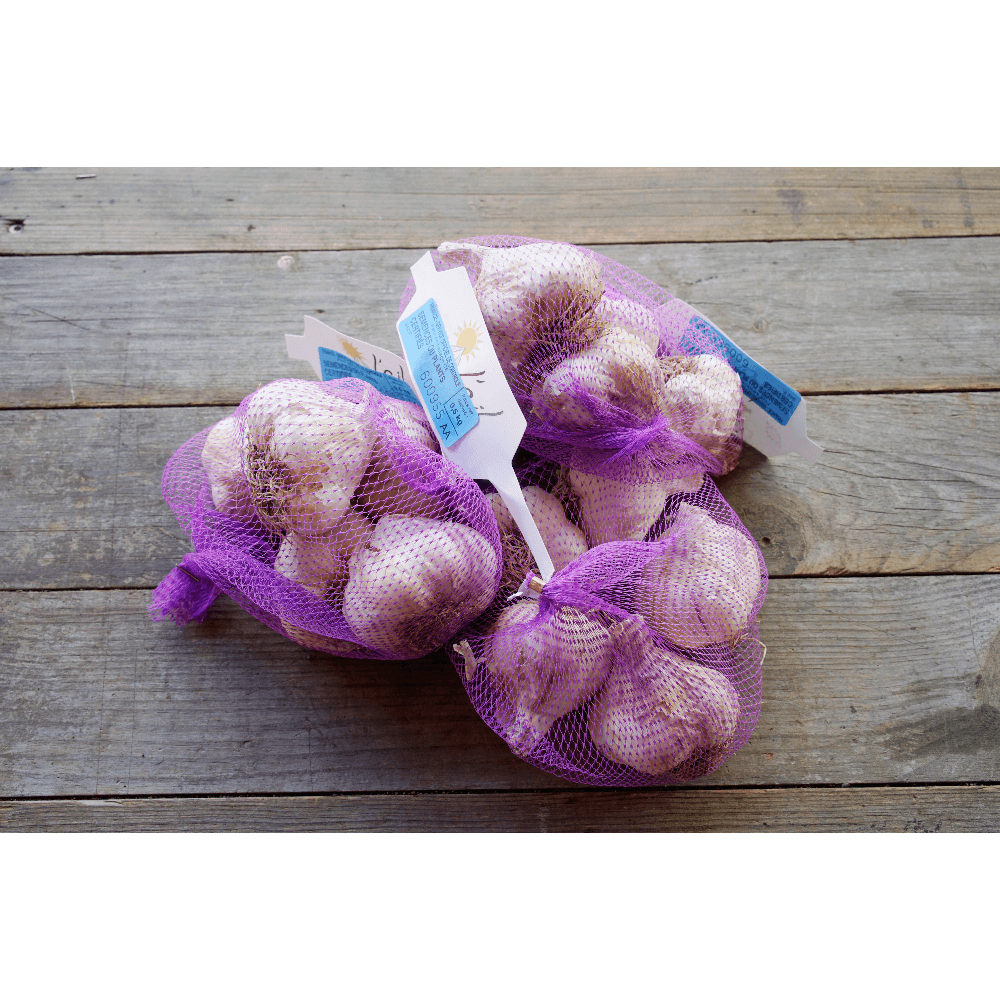 Knoblauch Cledor (1)