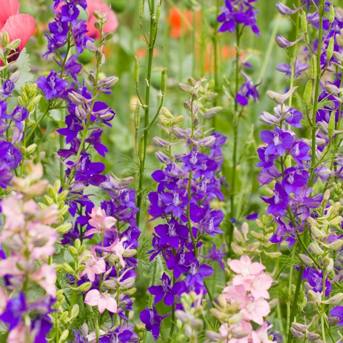 DIY Lanzenrittersporn (1)