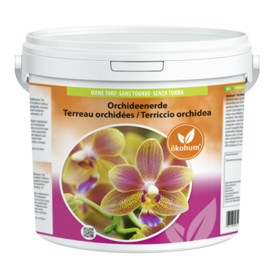 Orchideeneimer (1)