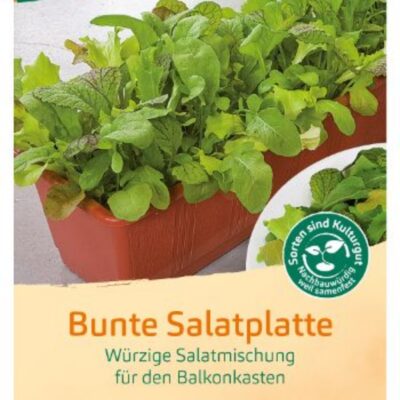 Salatplatte (1)