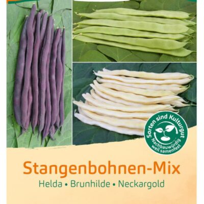 Stangenbohnen-Mix (1)