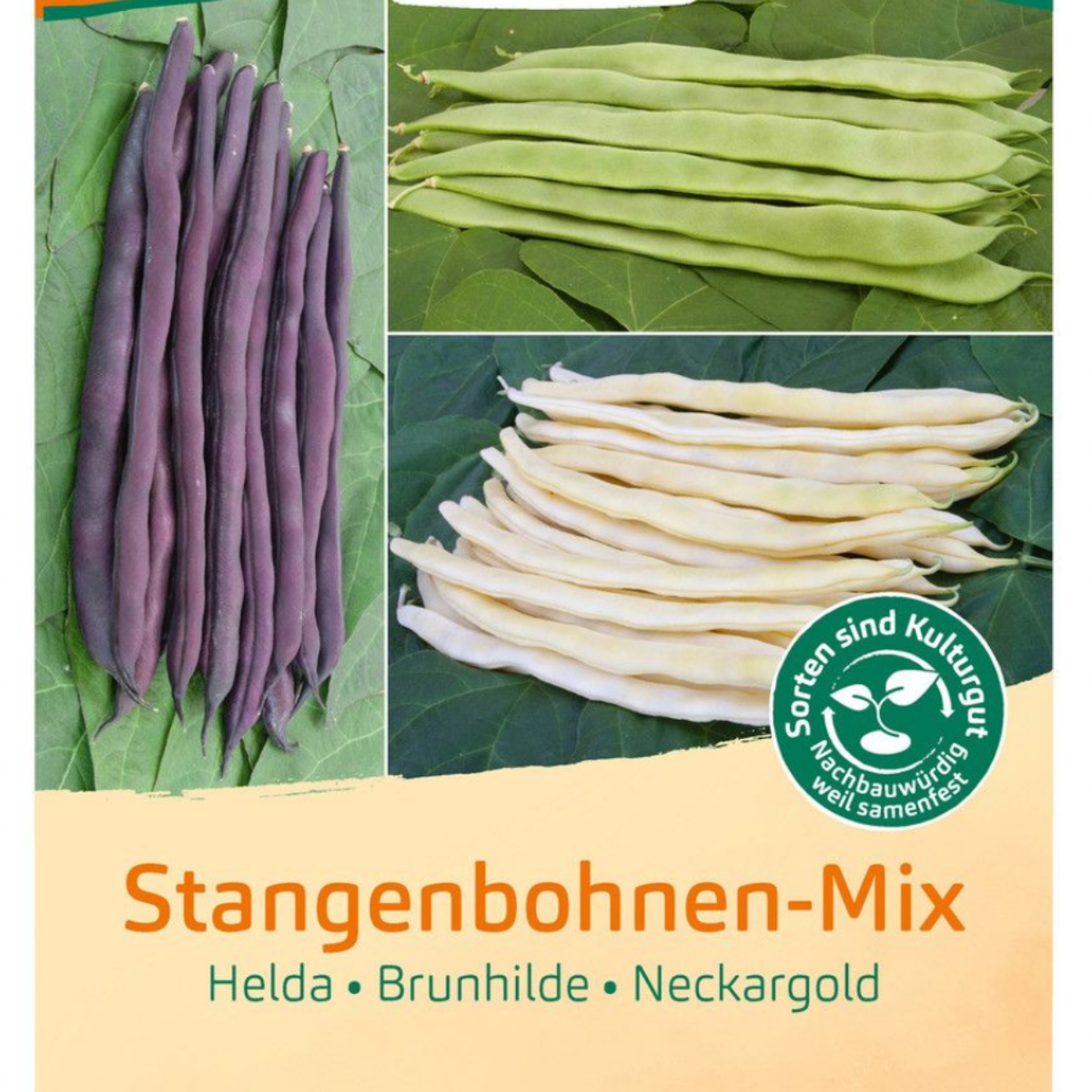Stangenbohnen-Mix (1)