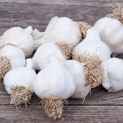 Steckknoblauch Cledor (1)