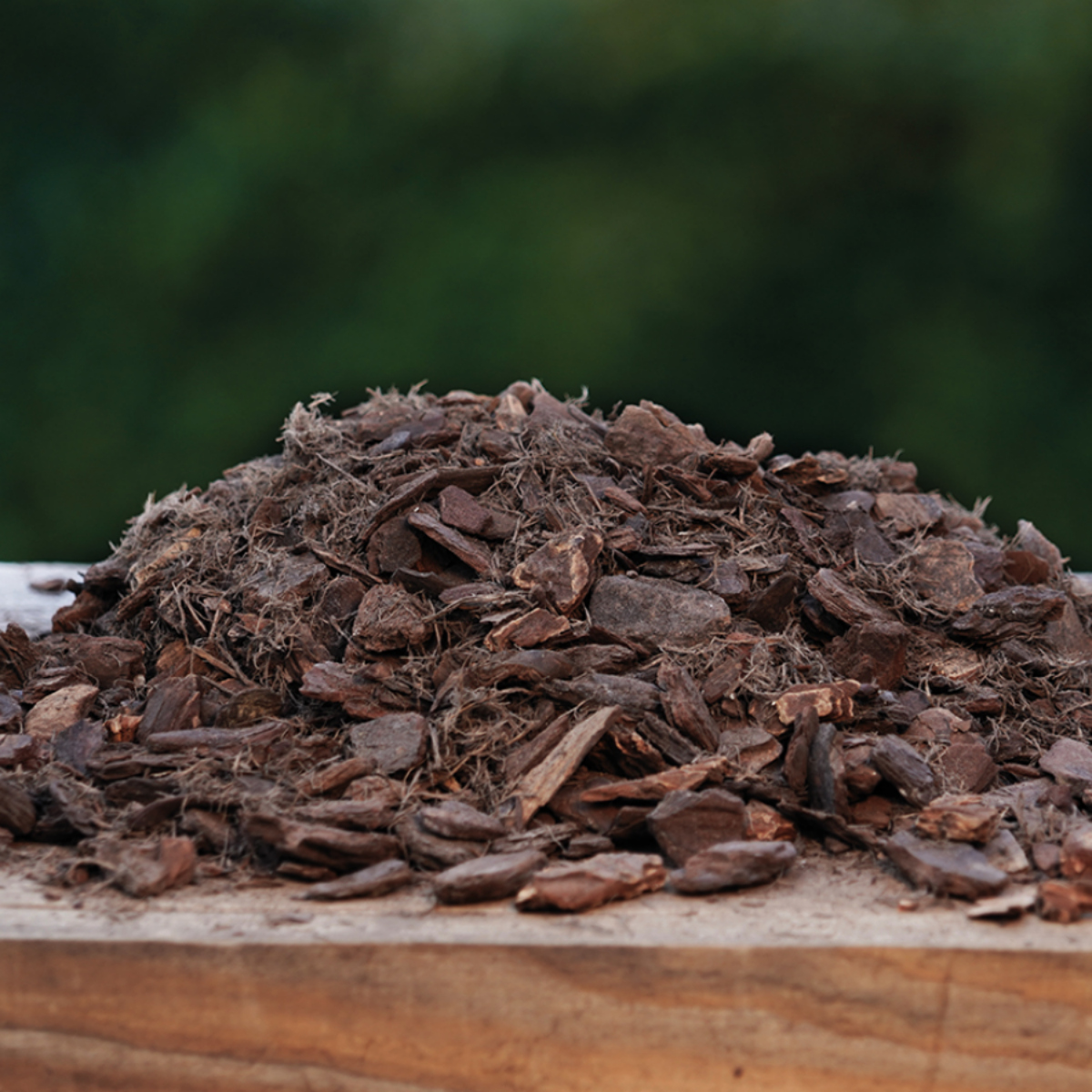 Substrat Beispielbild (1)