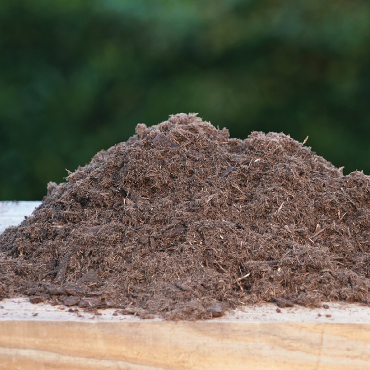 Substratfoto quad. (1)