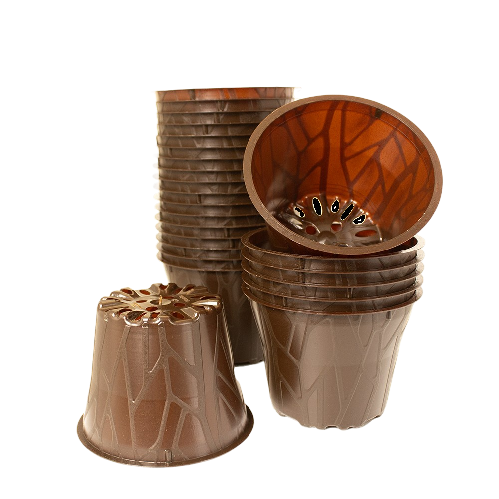 Produktbild 10,5 cm 24 er (1)