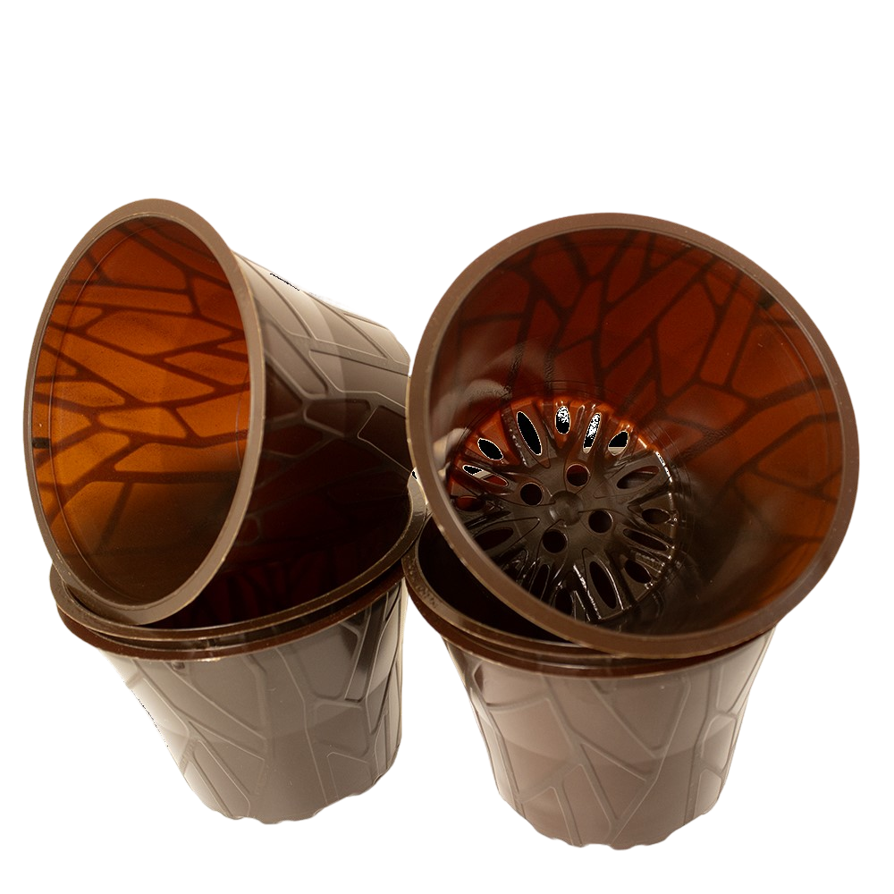 Produktbild 12er dunkel 6 Stück (1)