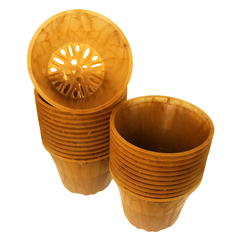 Produktbild 12er hell 24 Stück (1)