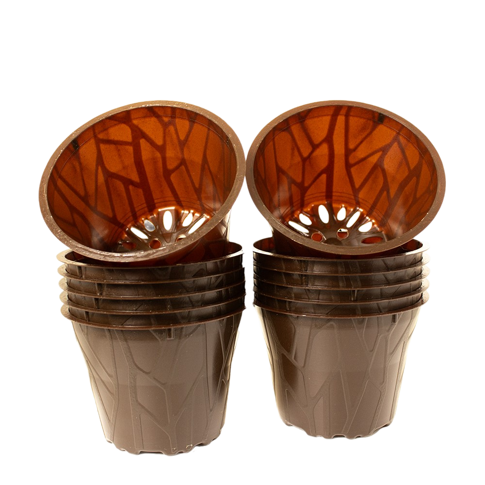 Produktbild 10,5 cm 12 er (1)