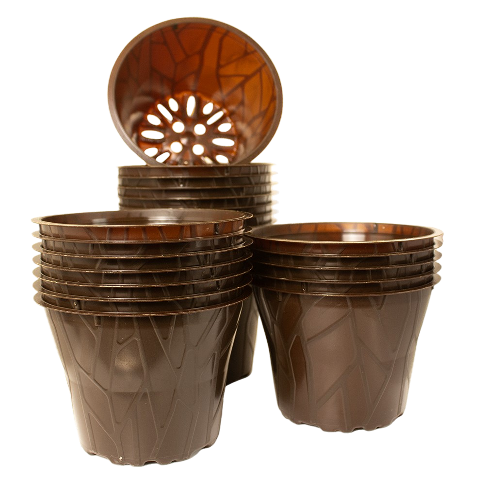 Produktbild 12er dunkel 24 Stück (1)