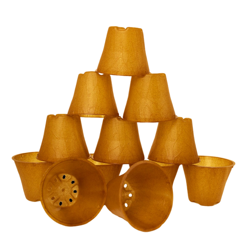 Produktbild 6 cm 12 er (1)