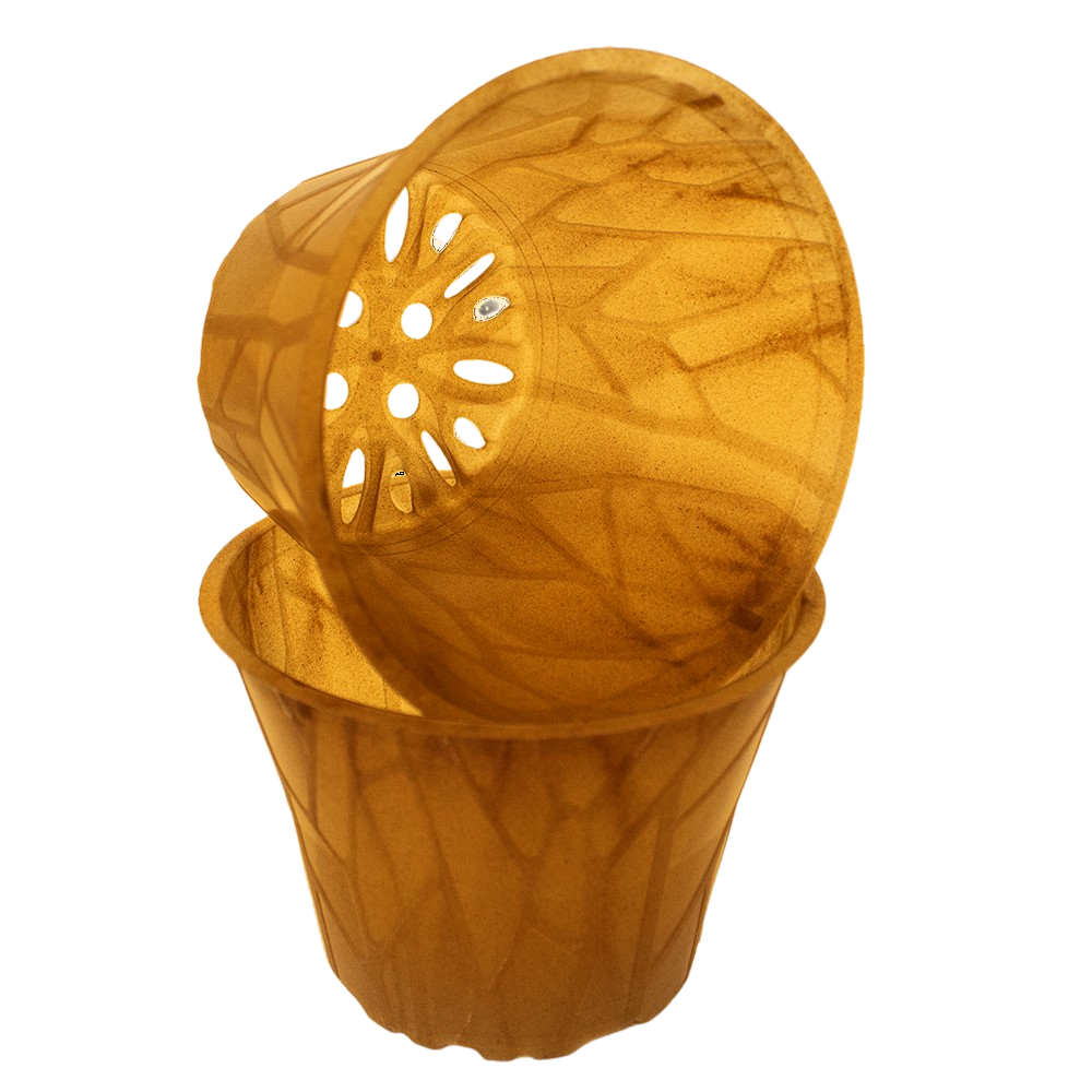 Produktbild 12er hell (1)