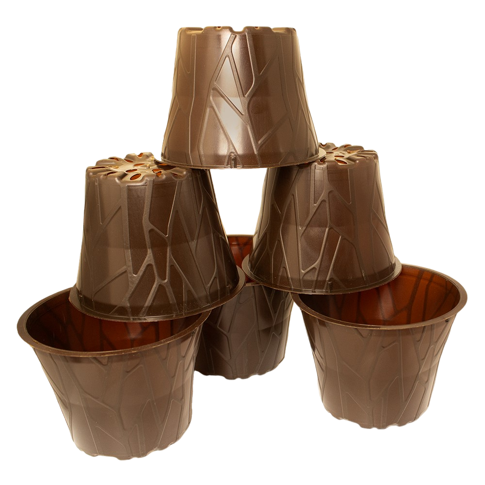 Produktbild 12er dunkel 12 Stück (1)