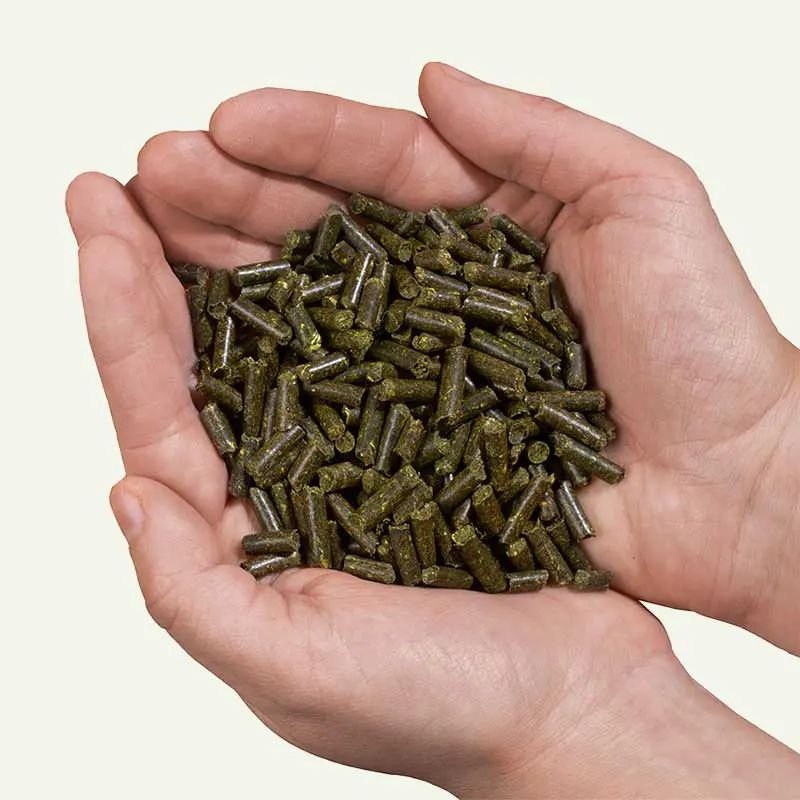 KleePura Biodünger Kleepellets in der Hand